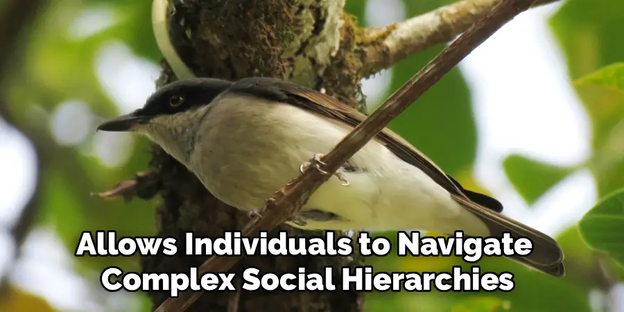 Allows Individuals to Navigate
Complex Social Hierarchies