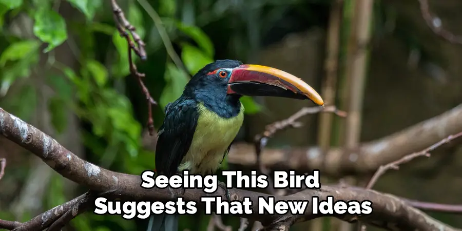 Seeing This Bird
Suggests That New Ideas