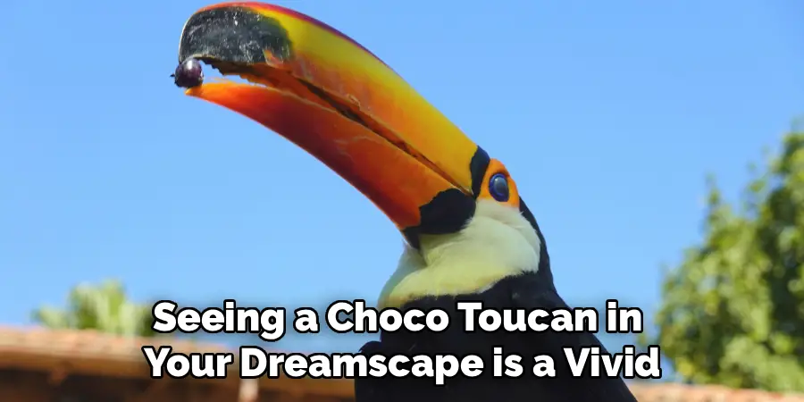 Seeing a Choco Toucan in 
Your Dreamscape is a Vivid