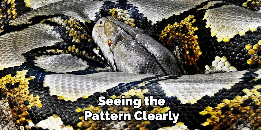 Seeing the Pattern Clearly