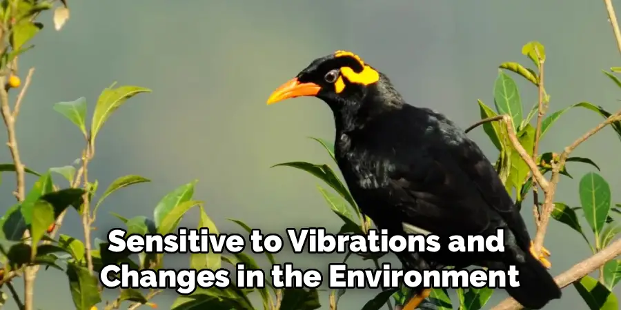 Sensitive to Vibrations and
Changes in the Environment