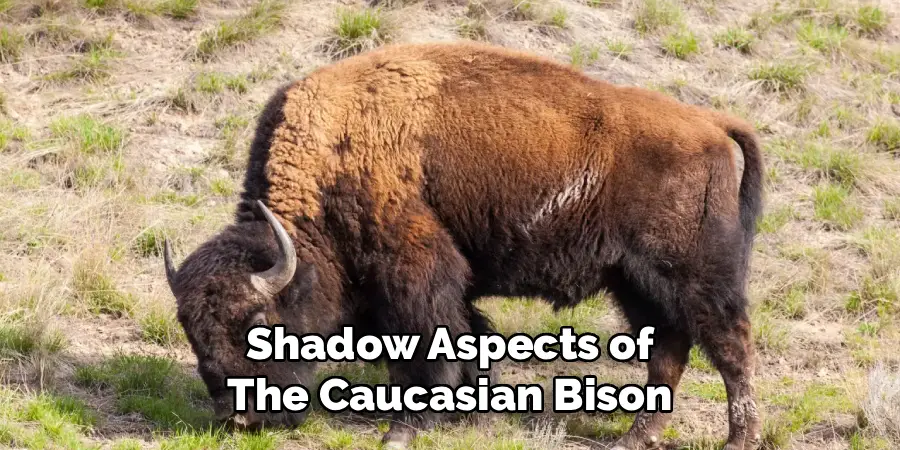 Shadow Aspects of the Caucasian Bison