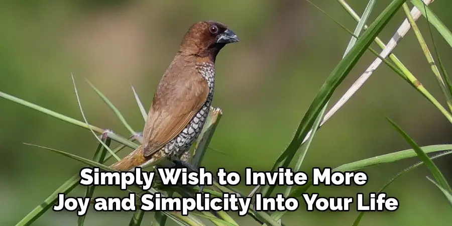 Simply Wish to Invite More 
Joy and Simplicity Into Your Life