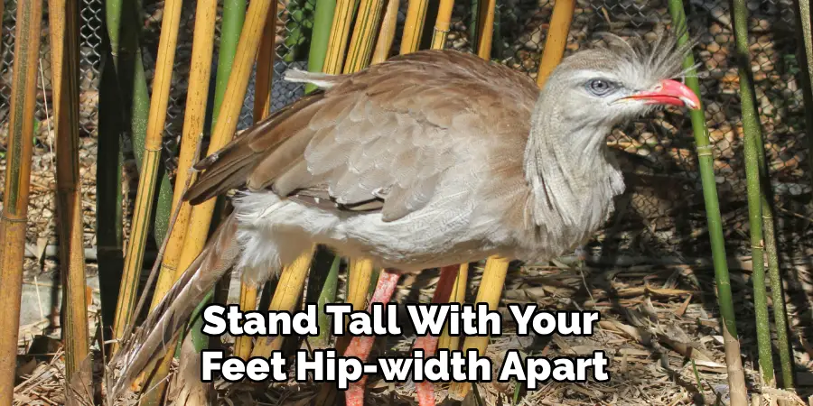 Stand Tall With Your 
Feet Hip-width Apart