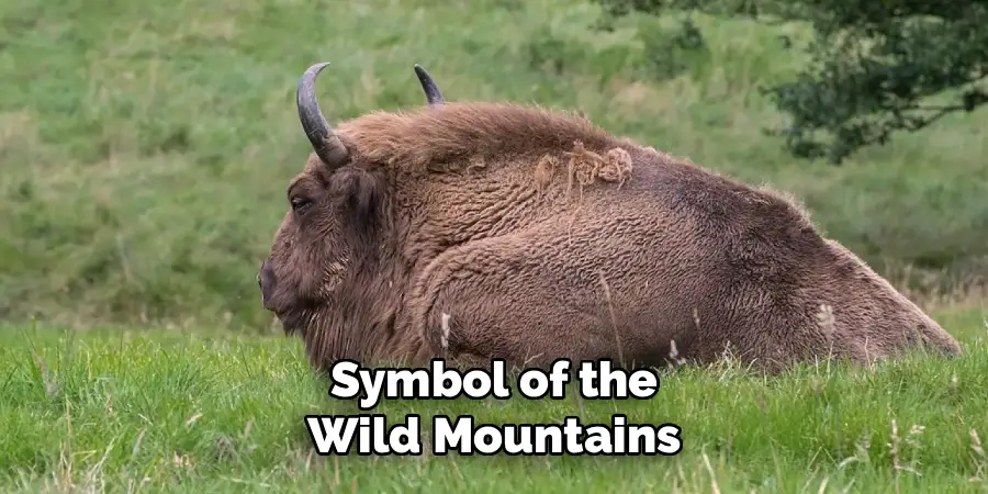 Symbol of the Wild Mountains