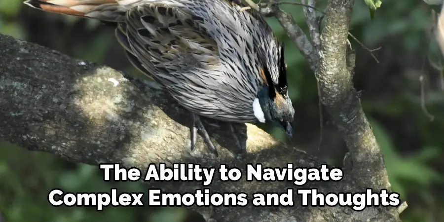 The Ability to Navigate 
Complex Emotions and Thoughts