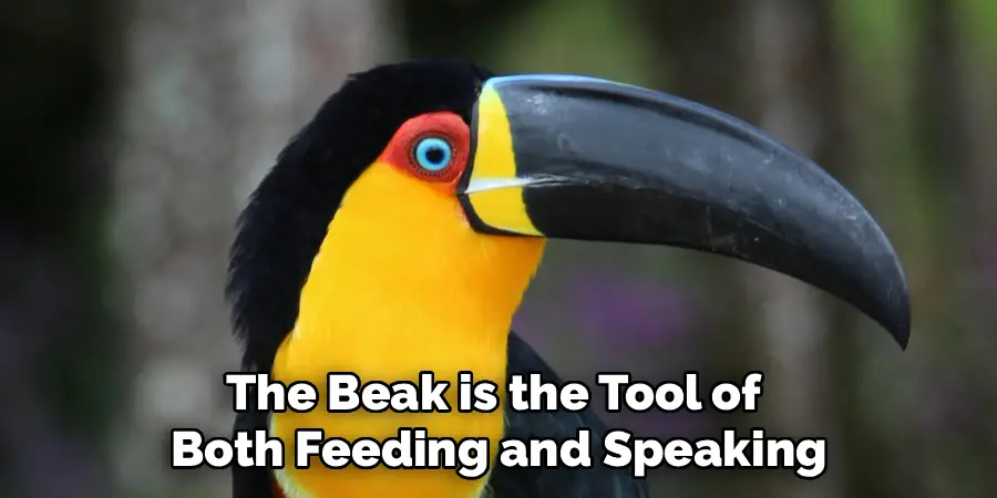 The Beak is the Tool of 
Both Feeding and Speaking