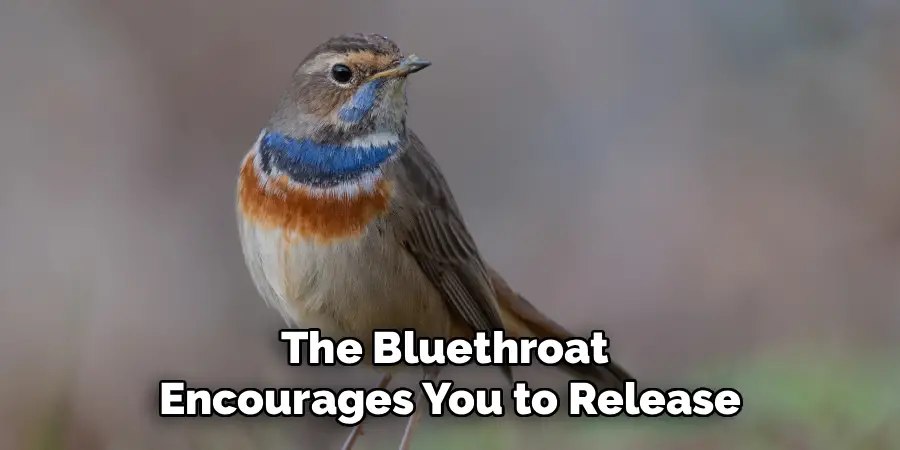 The Bluethroat
Encourages You to Release