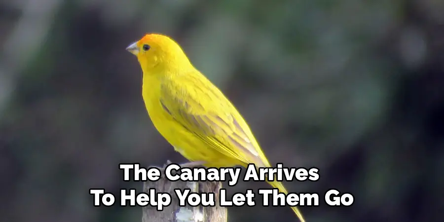 The Canary Arrives 
To Help You Let Them Go