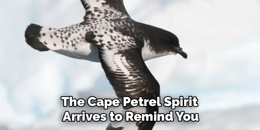 The Cape Petrel Spirit 
Arrives to Remind You