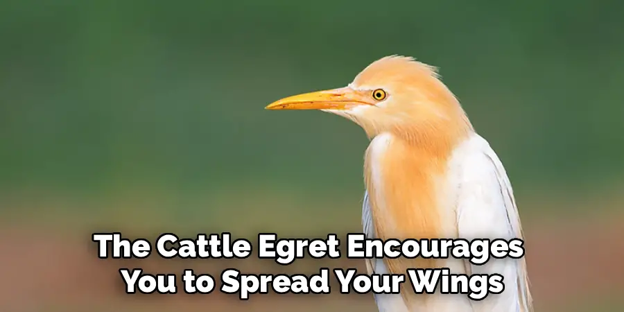 The Cattle Egret Encourages
You to Spread Your Wings