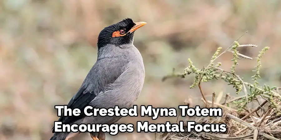 The Crested Myna Totem 
Encourages Mental Focus