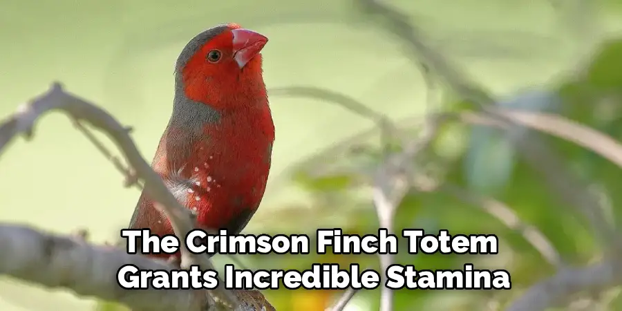 The Crimson Finch Totem
Grants Incredible Stamina