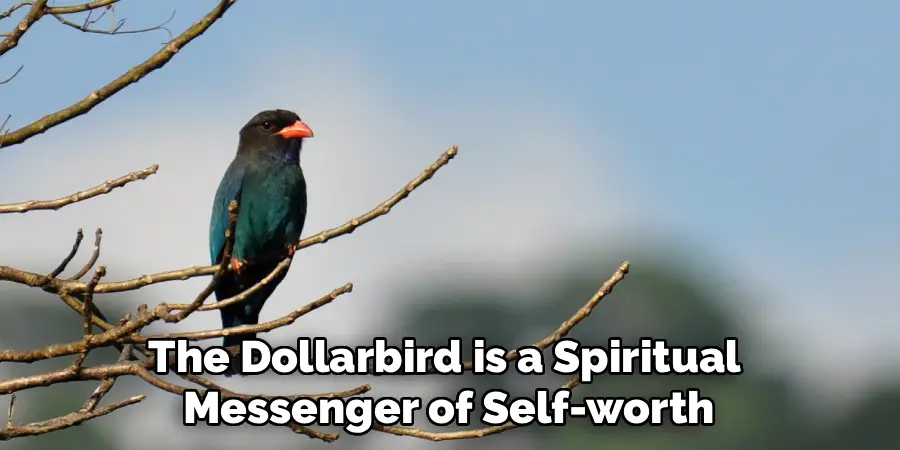 The Dollarbird is a Spiritual 
Messenger of Self-worth