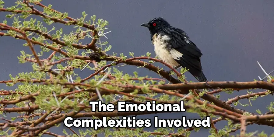 The Emotional
Complexities Involved