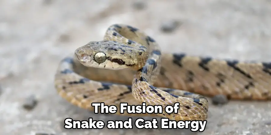 The Fusion of Snake and Cat Energy