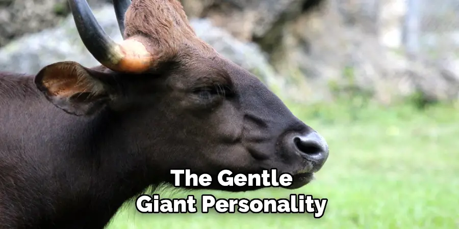The Gentle Giant Personality