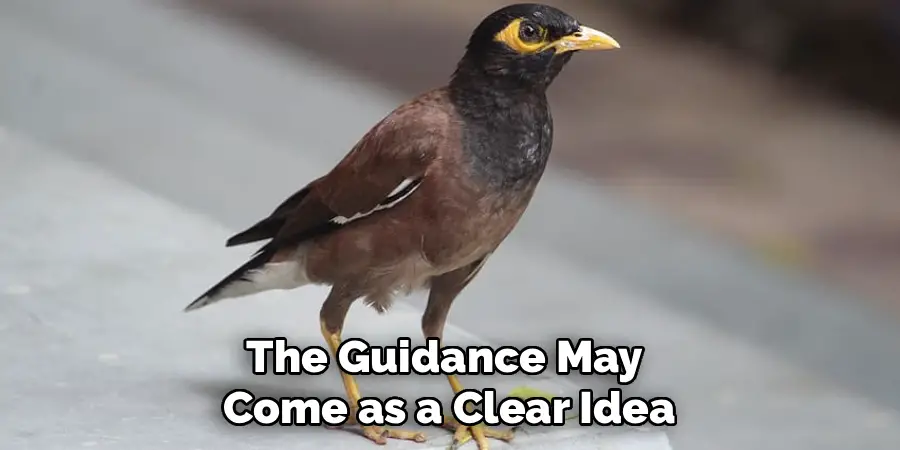 The Guidance May 
Come as a Clear Idea