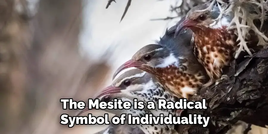 The Mesite is a Radical 
Symbol of Individuality