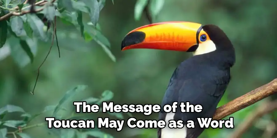 The Message of the
Toucan May Come as a Word