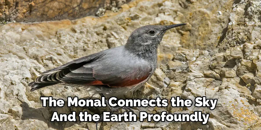 The Monal Connects the Sky
And the Earth Profoundly