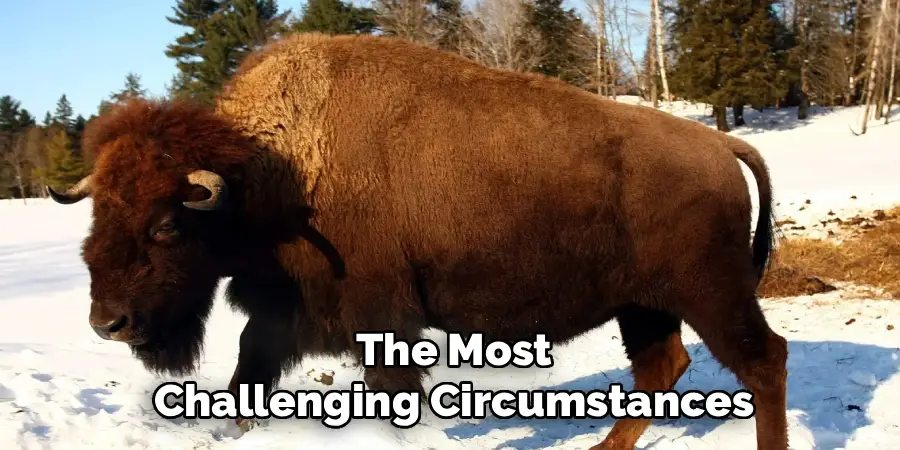 The Most
Challenging Circumstances