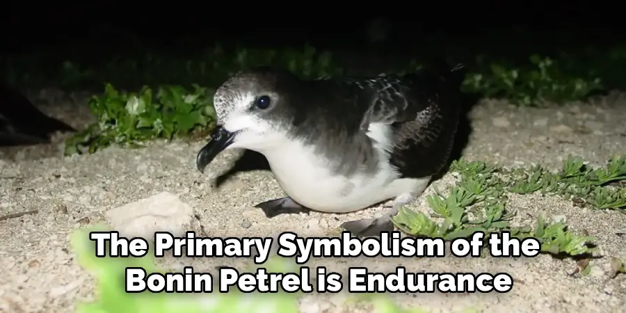 The Primary Symbolism of the
 Bonin Petrel is Endurance