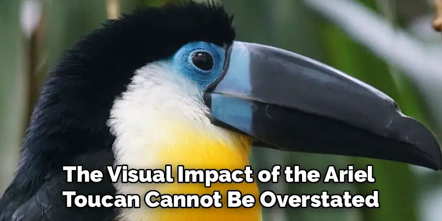 The Visual Impact of the Ariel 
Toucan Cannot Be Overstated