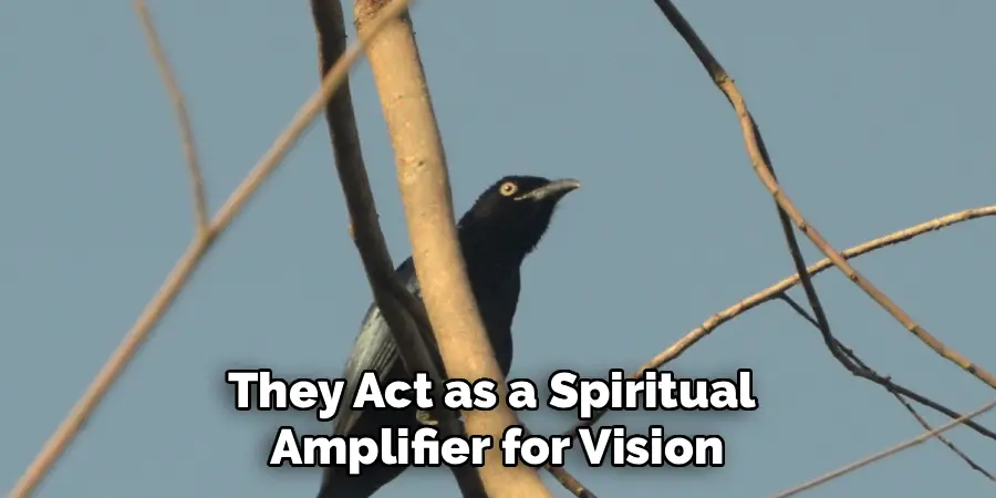 They Act as a Spiritual 
Amplifier for Vision
