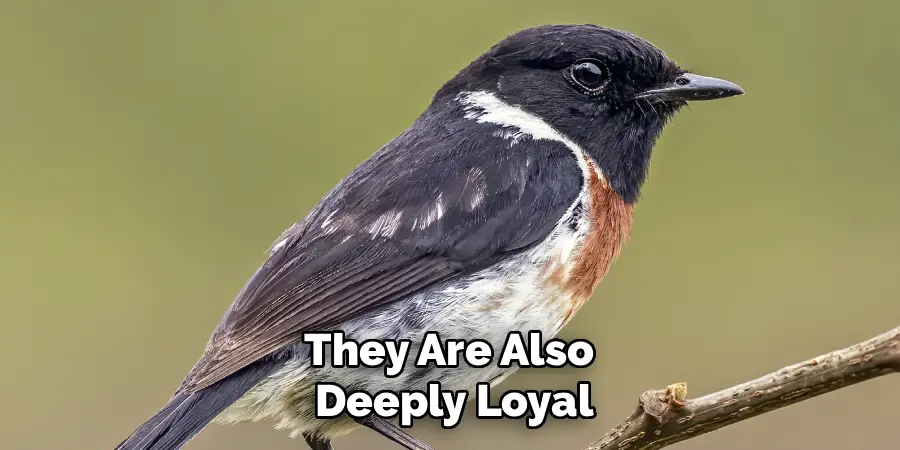 They Are Also
Deeply Loyal