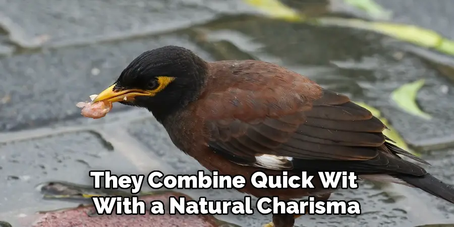 They Combine Quick Wit 
With a Natural Charisma