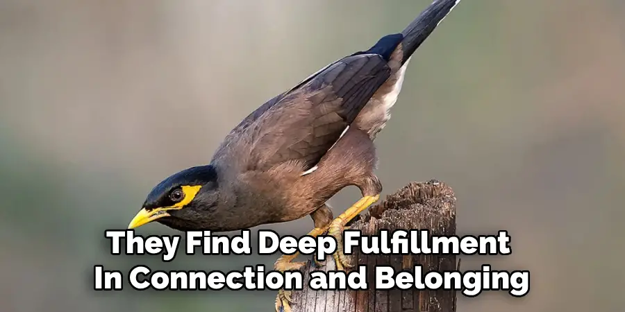 They Find Deep Fulfillment 
In Connection and Belonging
