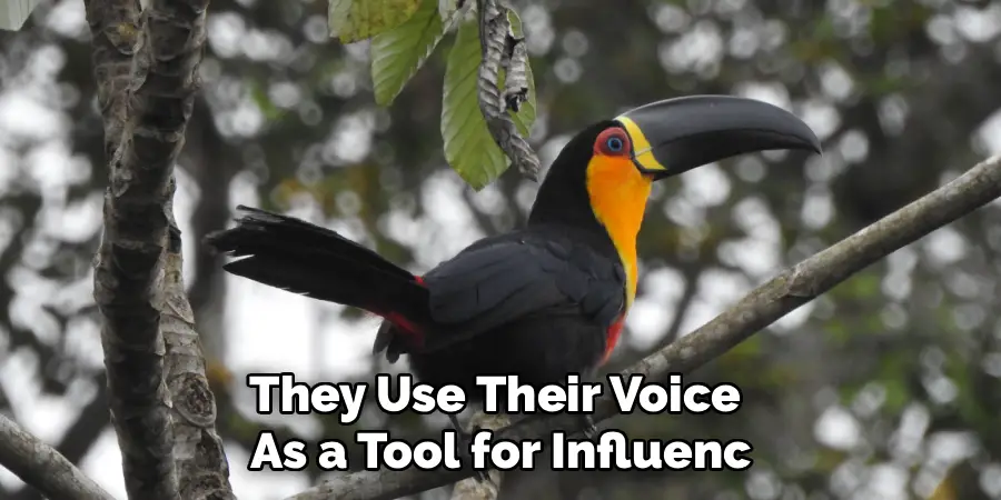 They Use Their Voice 
As a Tool for Influenc