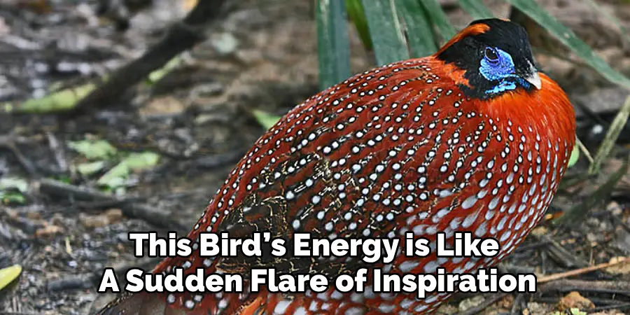 This Bird’s Energy is Like 
A Sudden Flare of Inspiration