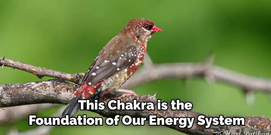 This Chakra is the 
Foundation of Our Energy System