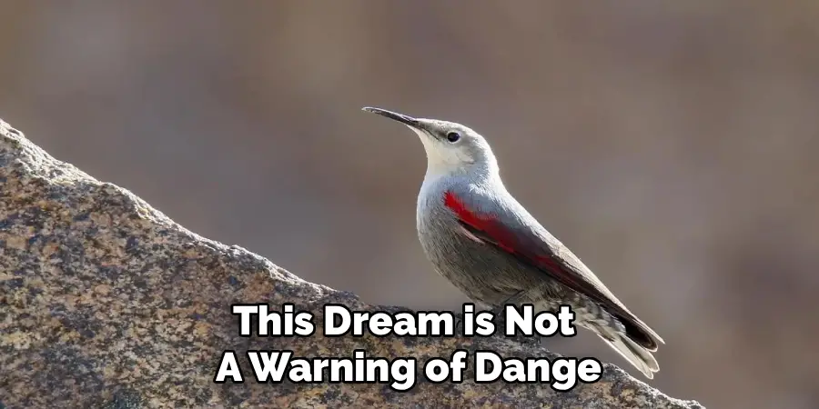 This Dream is Not
A Warning of Dange
