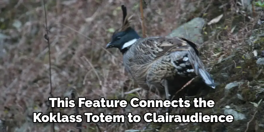 This Feature Connects the 
Koklass Totem to Clairaudience