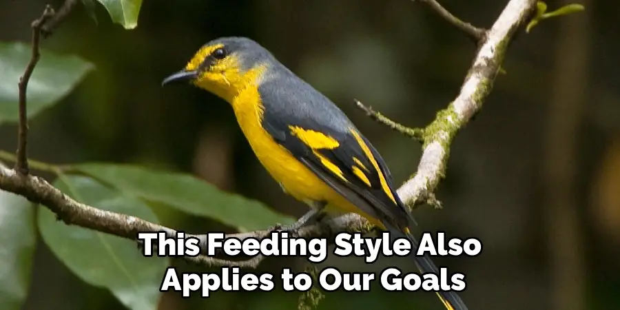 This Feeding Style Also 
Applies to Our Goals
