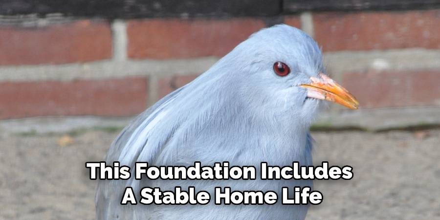 This Foundation Includes
A Stable Home Life
