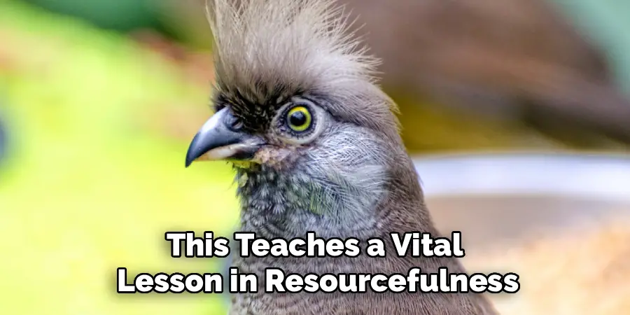 This Teaches a Vital 
Lesson in Resourcefulness