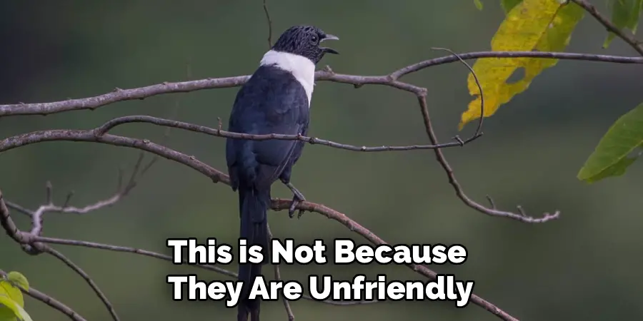 This is Not Because 
They Are Unfriendly