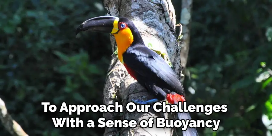 To Approach Our Challenges 
With a Sense of Buoyancy