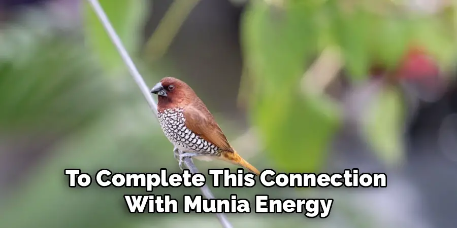 To Complete This Connection 
With Munia Energy