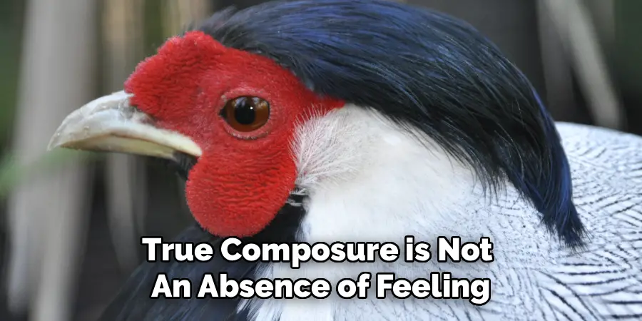 True Composure is Not
An Absence of Feeling