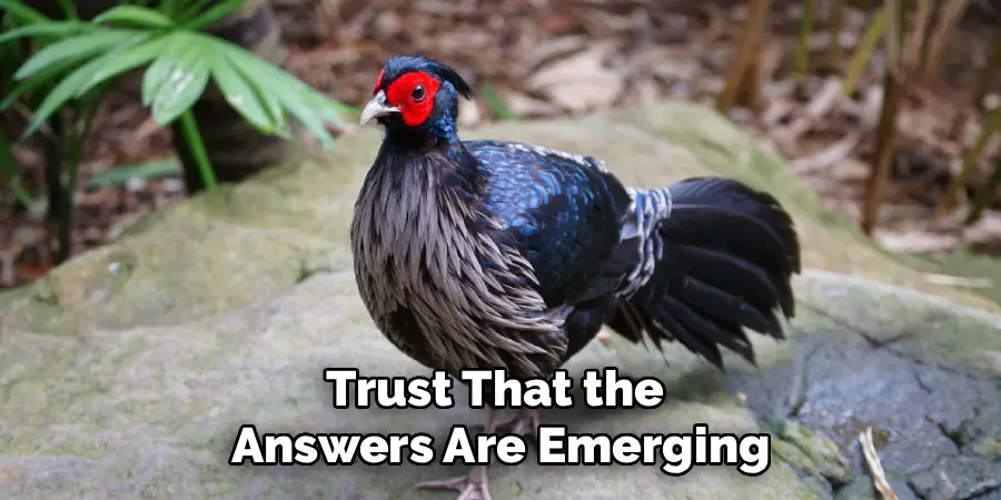 Trust That the
Answers Are Emerging