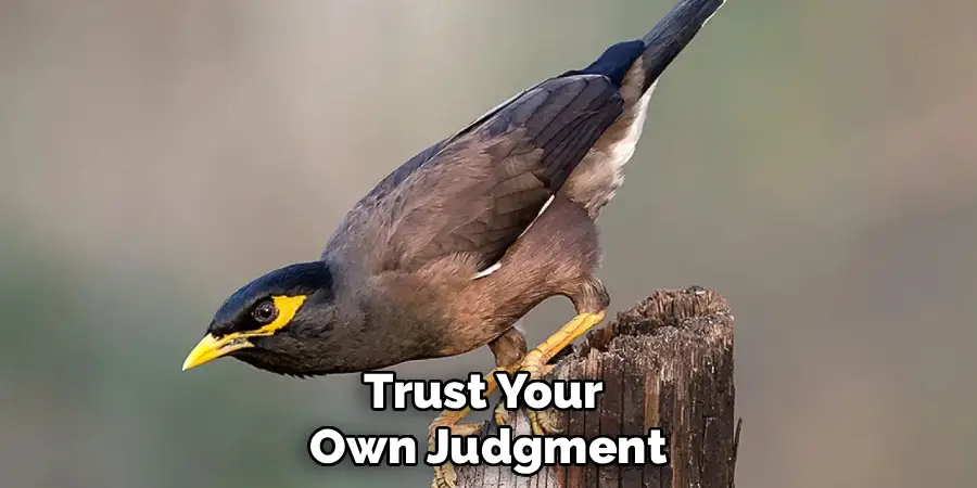 Trust Your 
Own Judgment