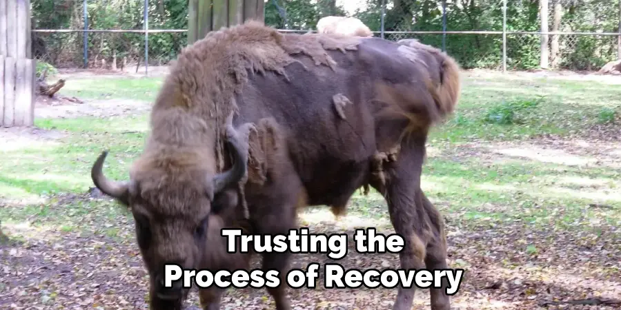Trusting the Process of Recovery