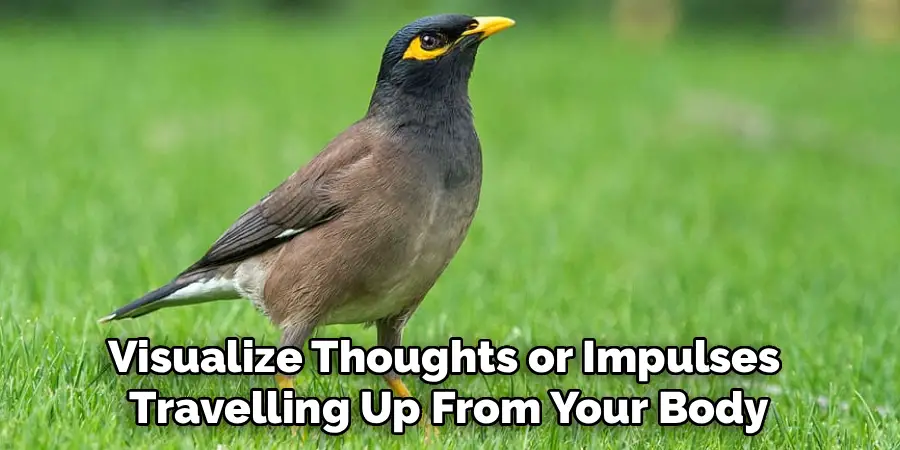 Visualize Thoughts or Impulses
Travelling Up From Your Body