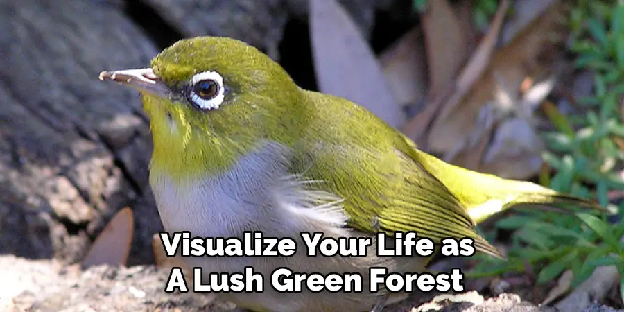  Visualize Your Life as
A Lush Green Forest