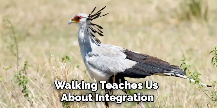 Walking Teaches Us 
About Integration